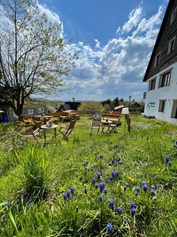 Berghotel Hohegeiß Extérieur photo