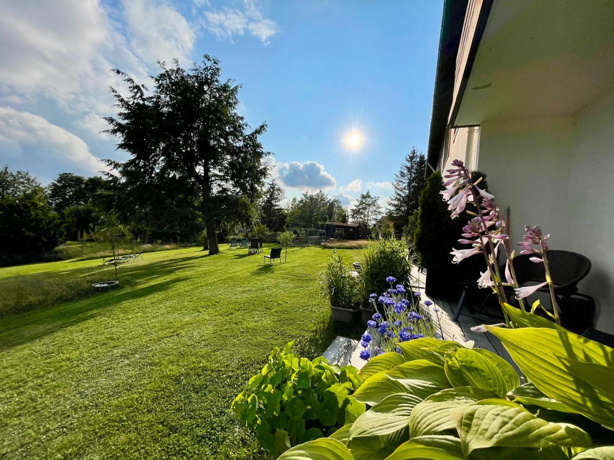 Berghotel Hohegeiß Extérieur photo